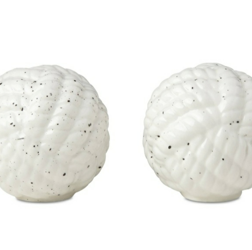 kate spade Nautical Salt & Pepper Set